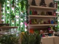 Bar_Garden.JPG