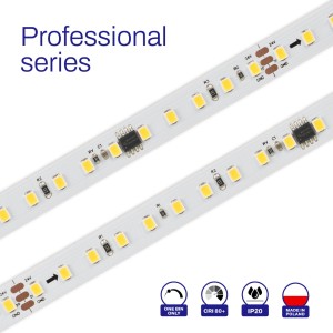 NEONICA taśma LED DYNAMIC 600, 24V - 5 metrów