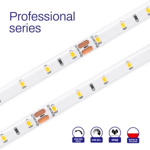 NEONICA taśma LED VISION 300, 24V, wodoodporna IP68 - 5 metrów - SERIA PROFESJONALNA