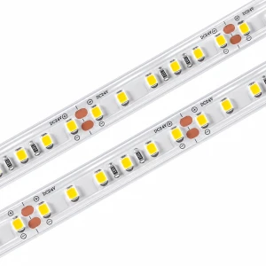 NEONICA taśma LED VALUE  600 24V IP68 - 5 metrów - SERIA EKONOMICZNA