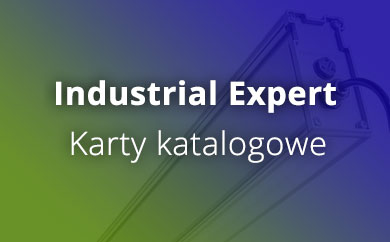 industrial expert