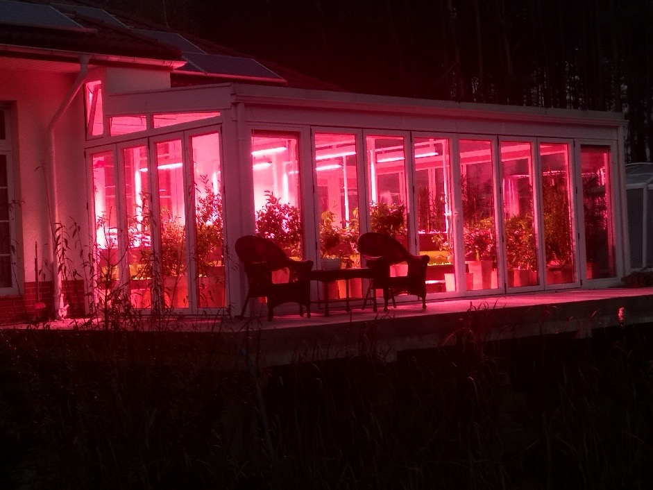 Neonica Growy LED - łączymy pasję z biznesem
